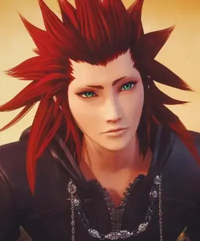 FunkyActor9510의 Axel kingdom hearts