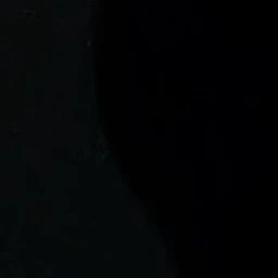 김동현