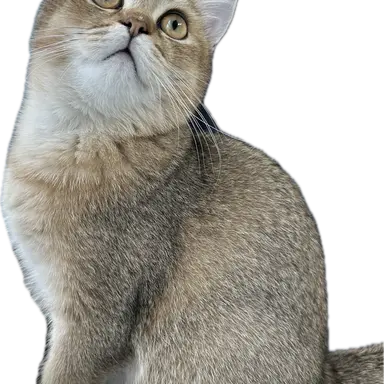 Profile image of .