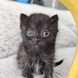 Profile image of Denise