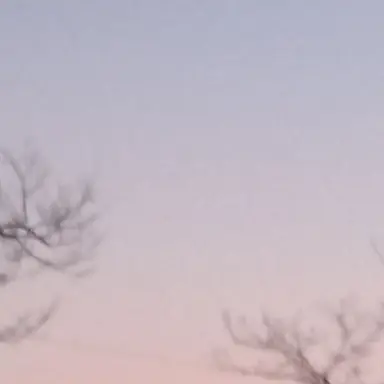 Profile image of 카마도 탄지로