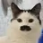 あきくん