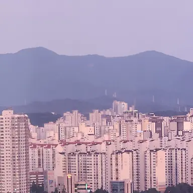 Profile image of 여우