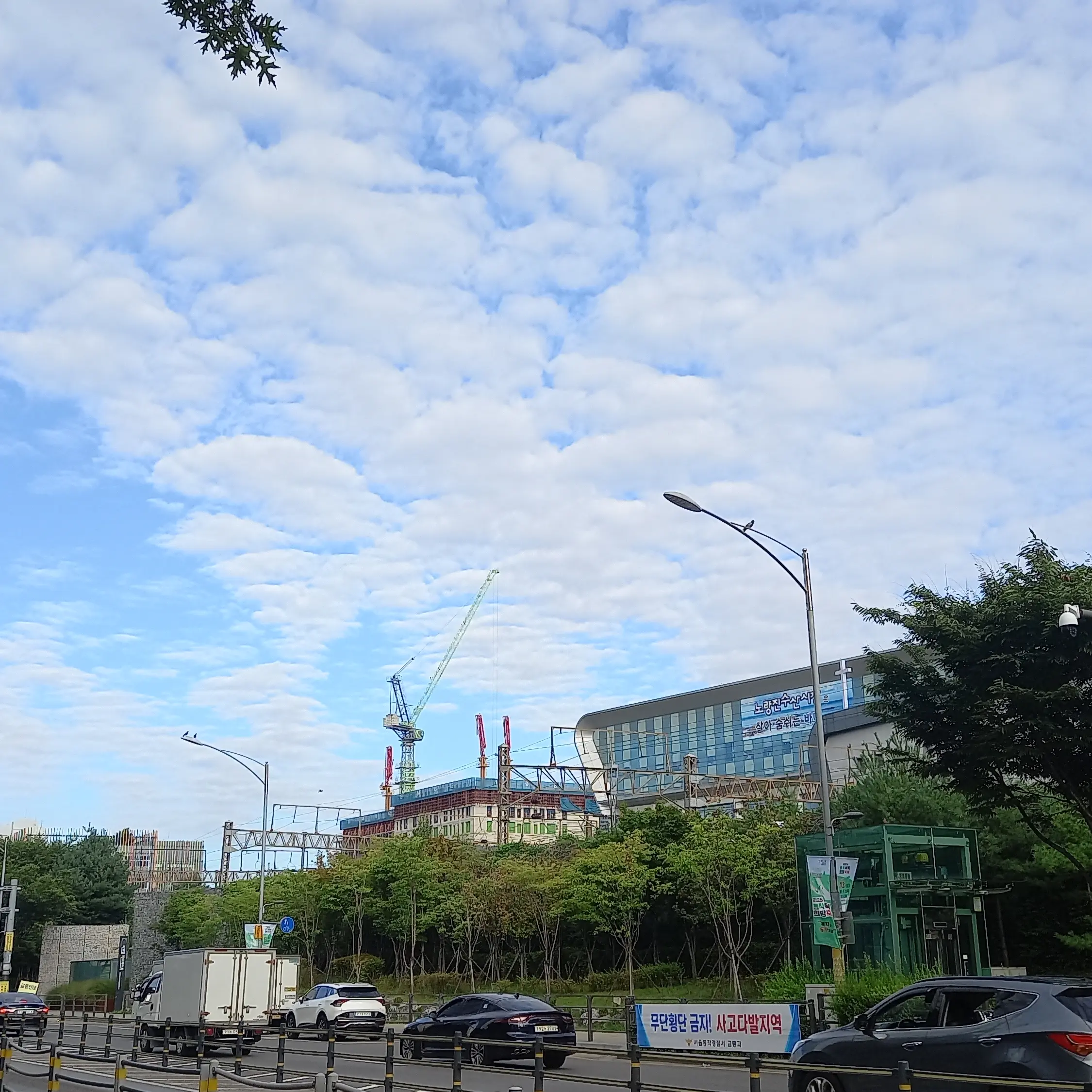 FluidRadar6337의 권지용