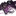 다크카카오 쿠키