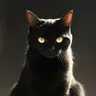 Profile image of 毛玉