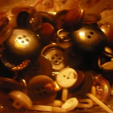 Profile image of Sasha