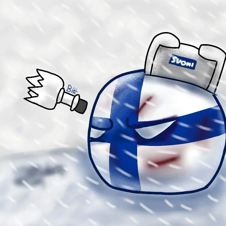 NEVADA_51의 핀란드볼(폐인)