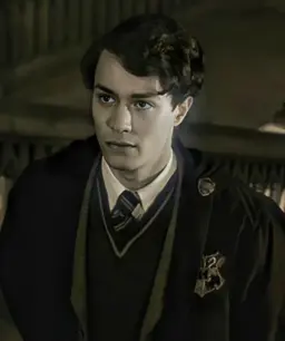 Profile image of Tom