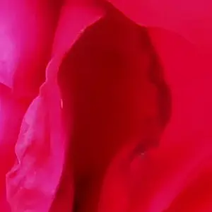 Profile image of ヤジーム