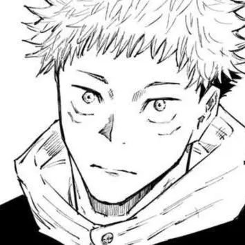 Profile image of 虎杖悠仁