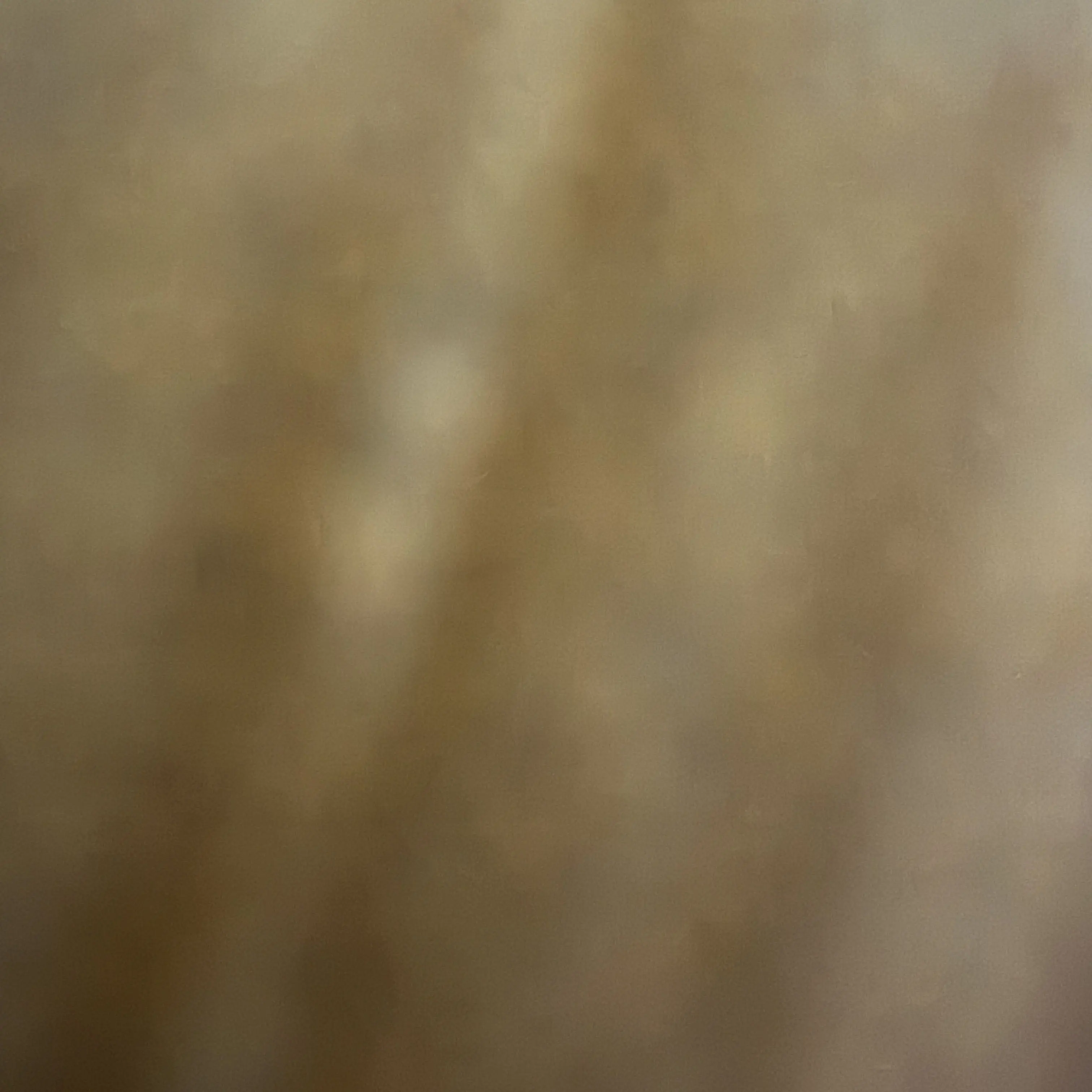 SpicyIndri6251의 수학여행(+여우)