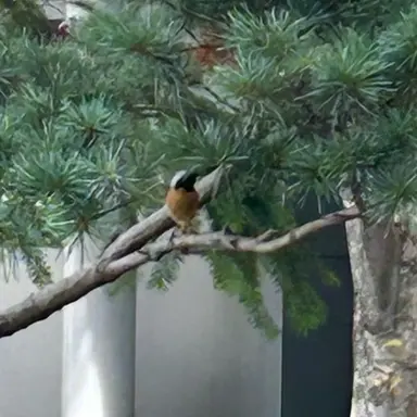 Profile image of 유저