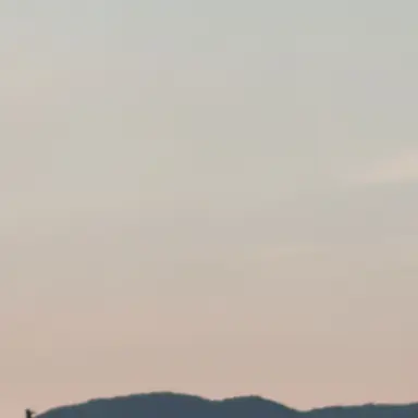 Profile image of 이서아