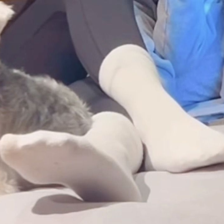 여사친들 대표 이미지