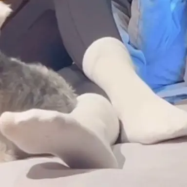 Profile image of 조해원