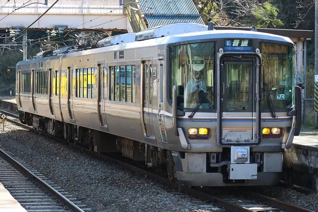 Profile image of Sanin Line