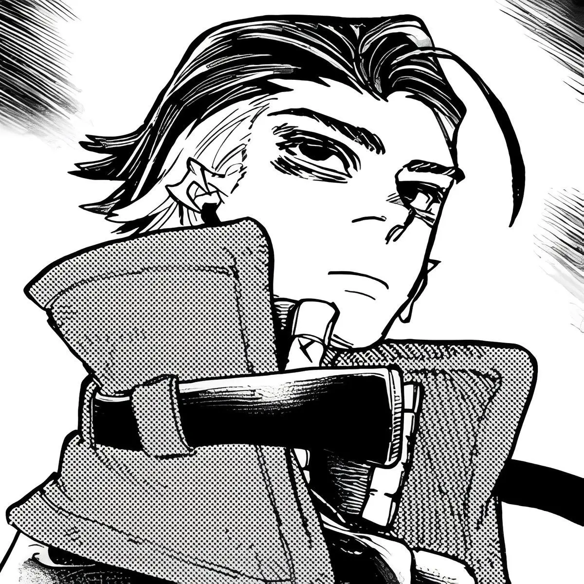 PickyHair7182의 무법자