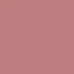 2525jp의 ブラジル