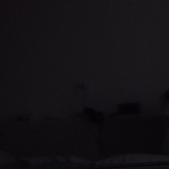 제형