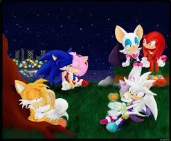 FlimsyQuoll5357의 sonic and his friend