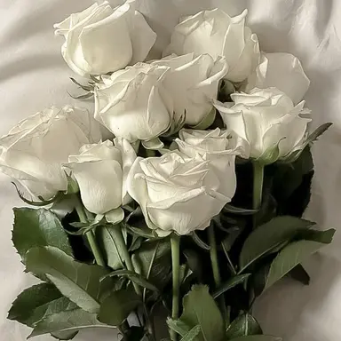 Profile image of 한동민