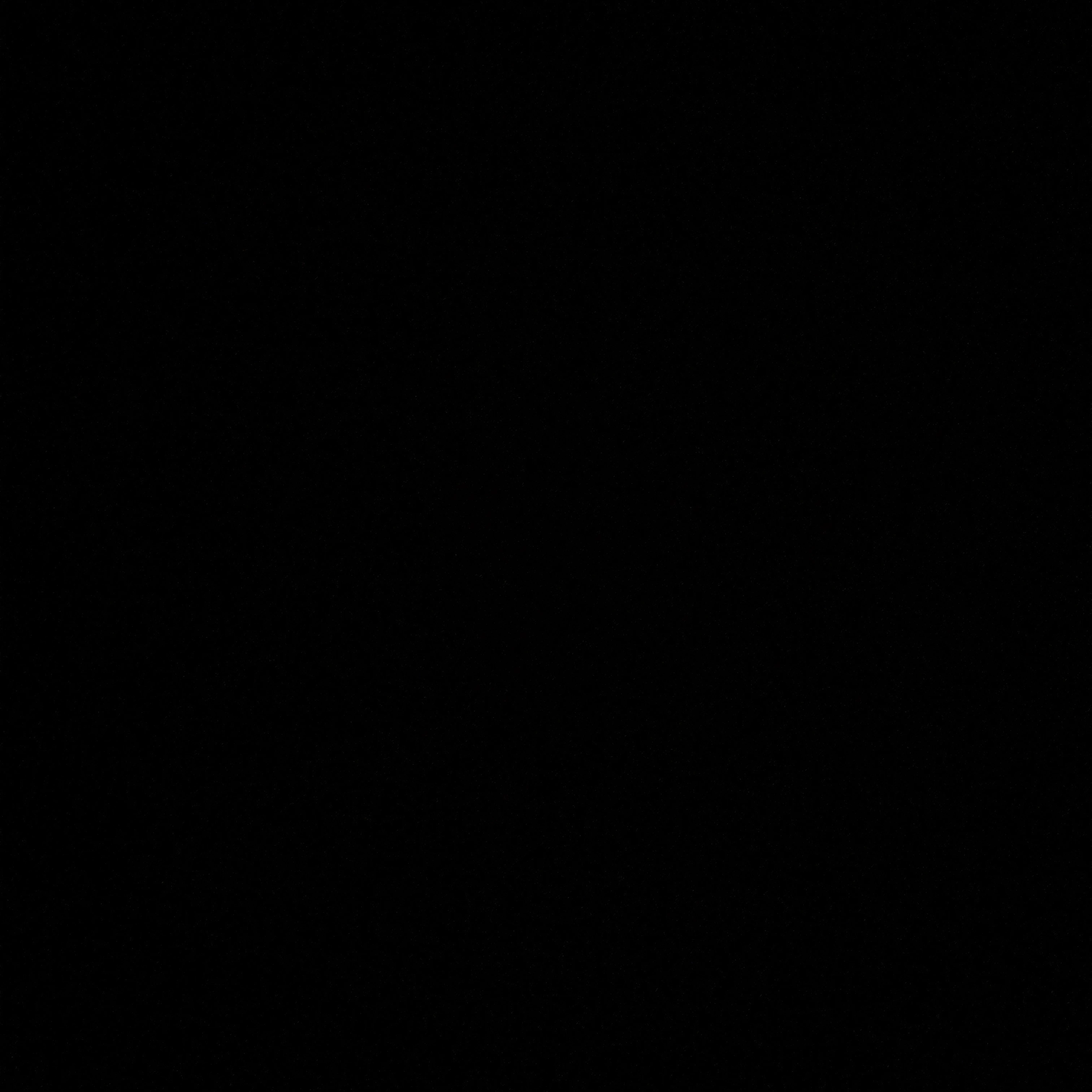 김 민 정