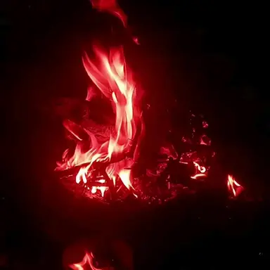 Profile image of 플래그