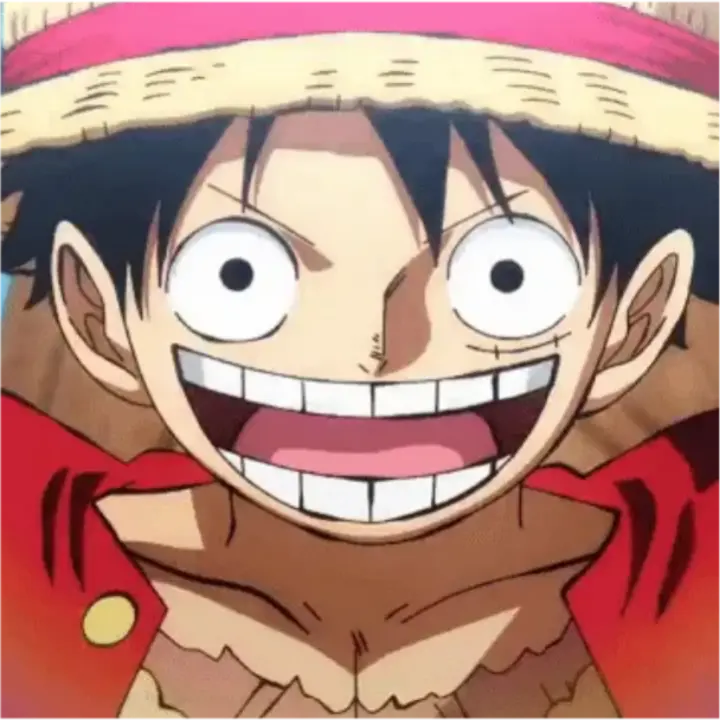 UglyClay4466의 원피스          출처 나무위키