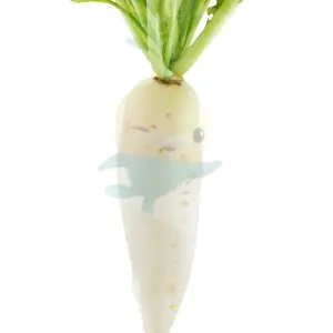 Profile image of Tunip