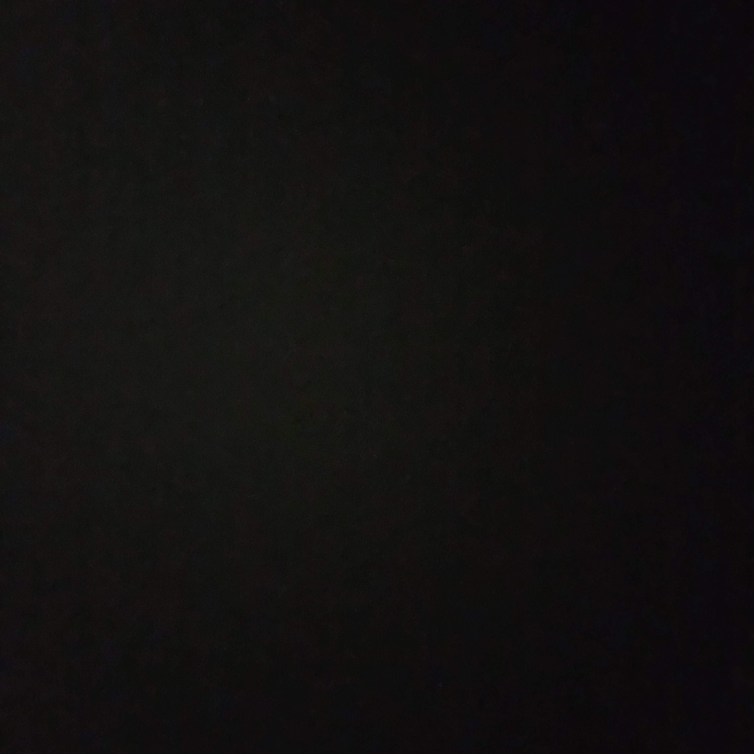 제미니