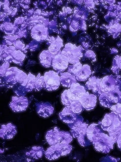 Dark_032의 " 어디가. 어디가냐고. "