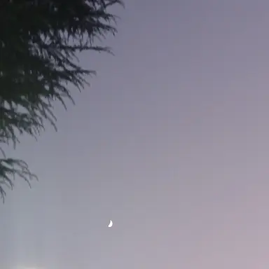 Profile image of 가을 신 추사 秋爽