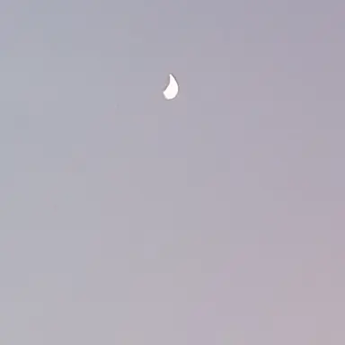 Profile image of 겨울의 신 각별