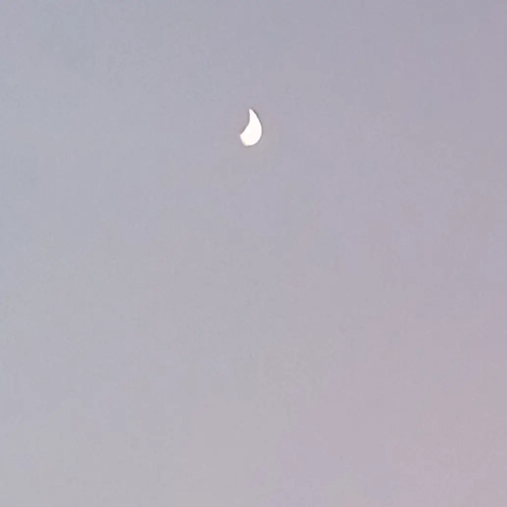 I_LOVE_SDSG의 겨울신화의 악역, 여름의 신 수현