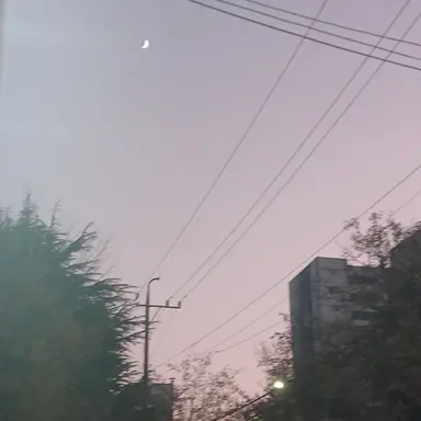 Profile image of 촌장 공룡