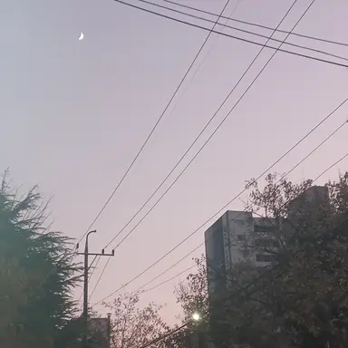 Profile image of 손녀 잠뜰