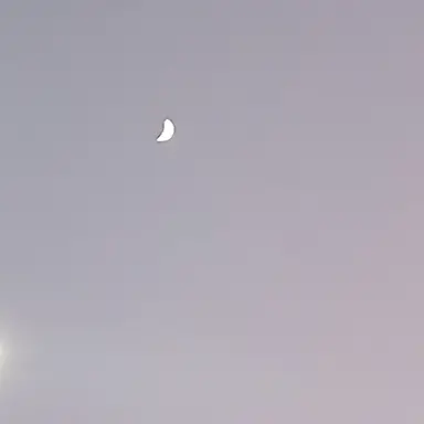 Profile image of 여름의 신 수현