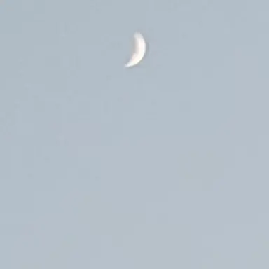 Profile image of 봄의 신 온초 溫春