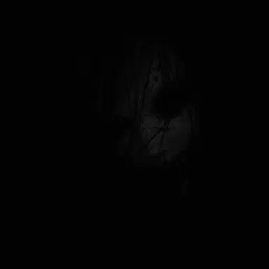 Profile image of It in the Dark