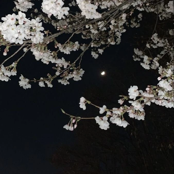 아주르