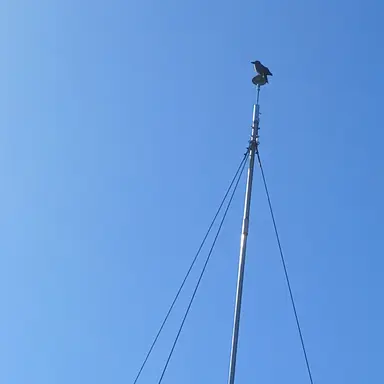 Profile image of 여우