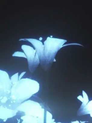 trap.의 과거의 잔향을 따라.