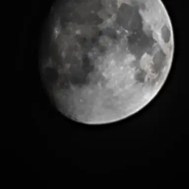 Profile image of 제작진