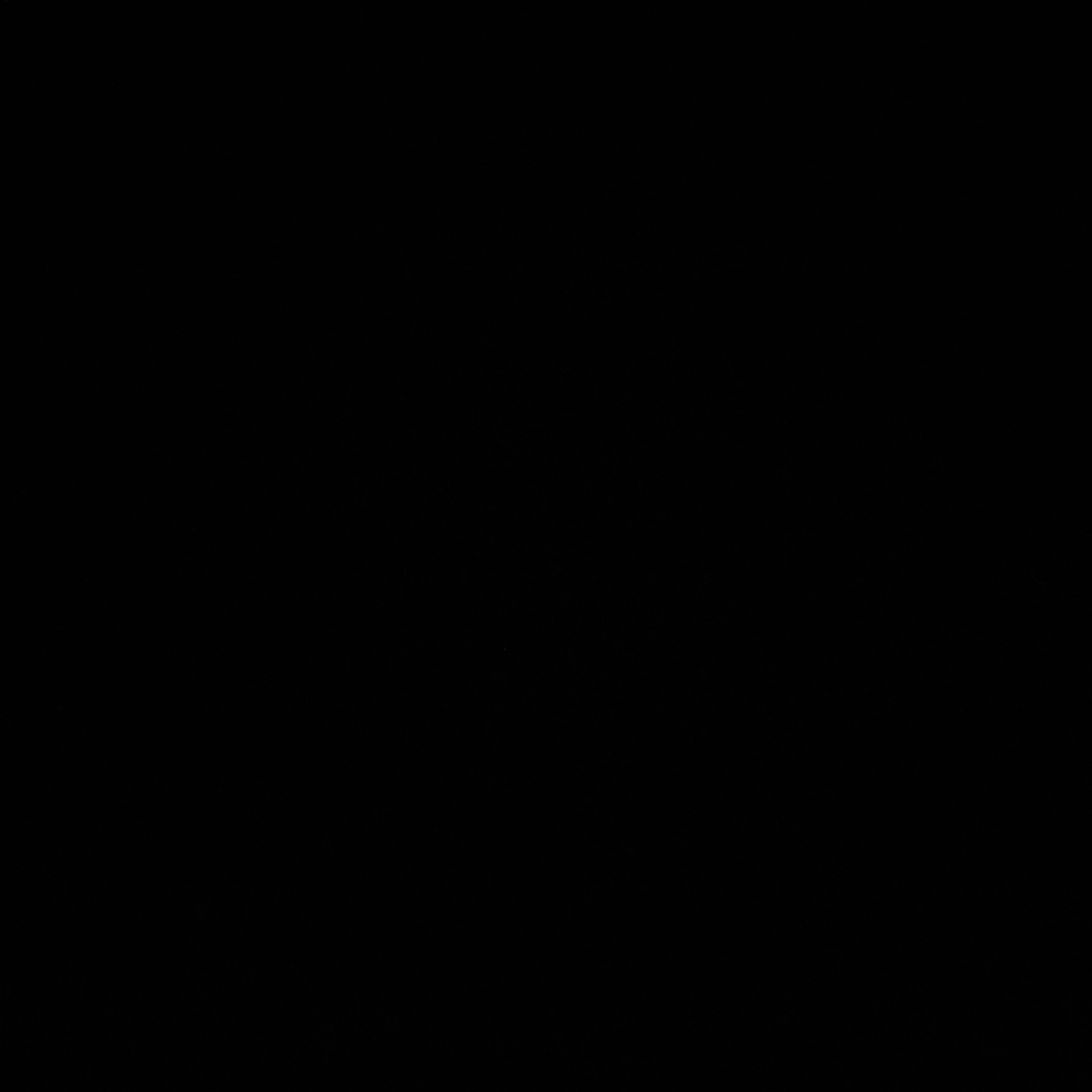 권뚜뇽