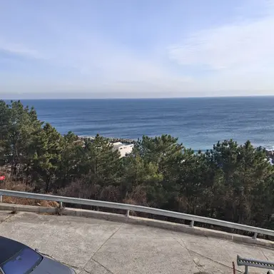 Profile image of 료미