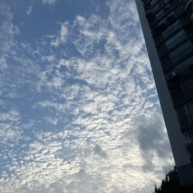 Profile image of 여우