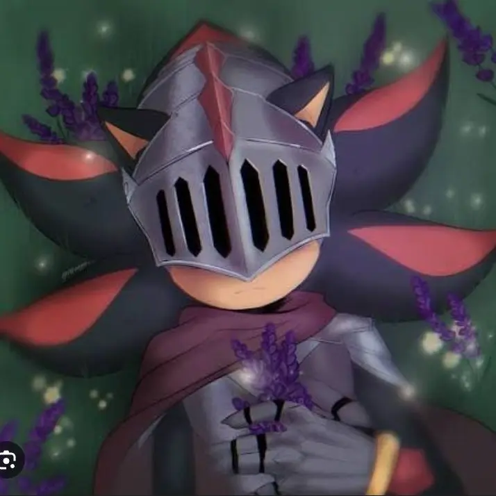 SONADOW_의 Just joined the knights