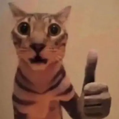 Profile image of 냥이