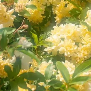 Profile image of 仁人